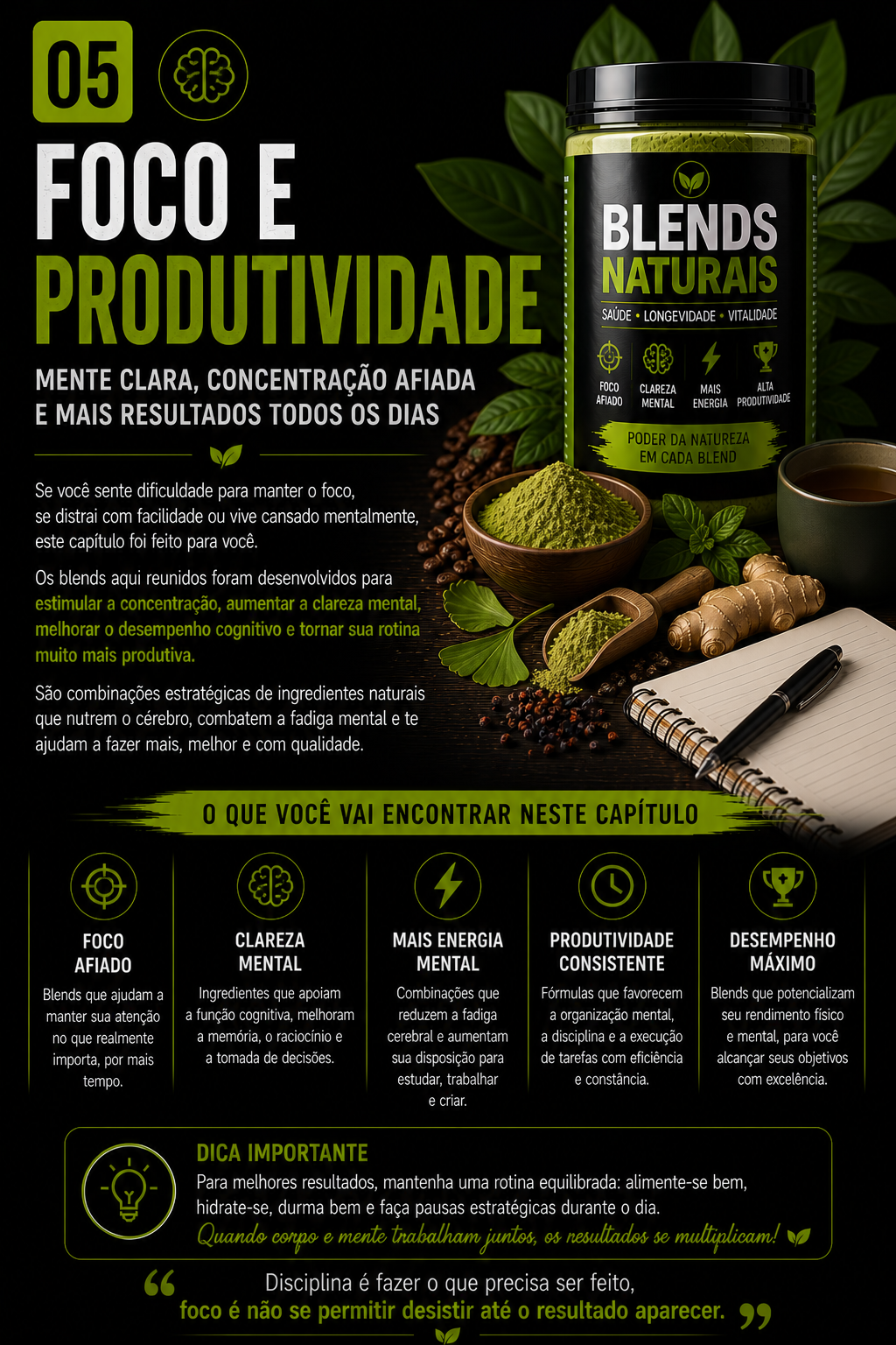 Capítulo Foco e Produtividade