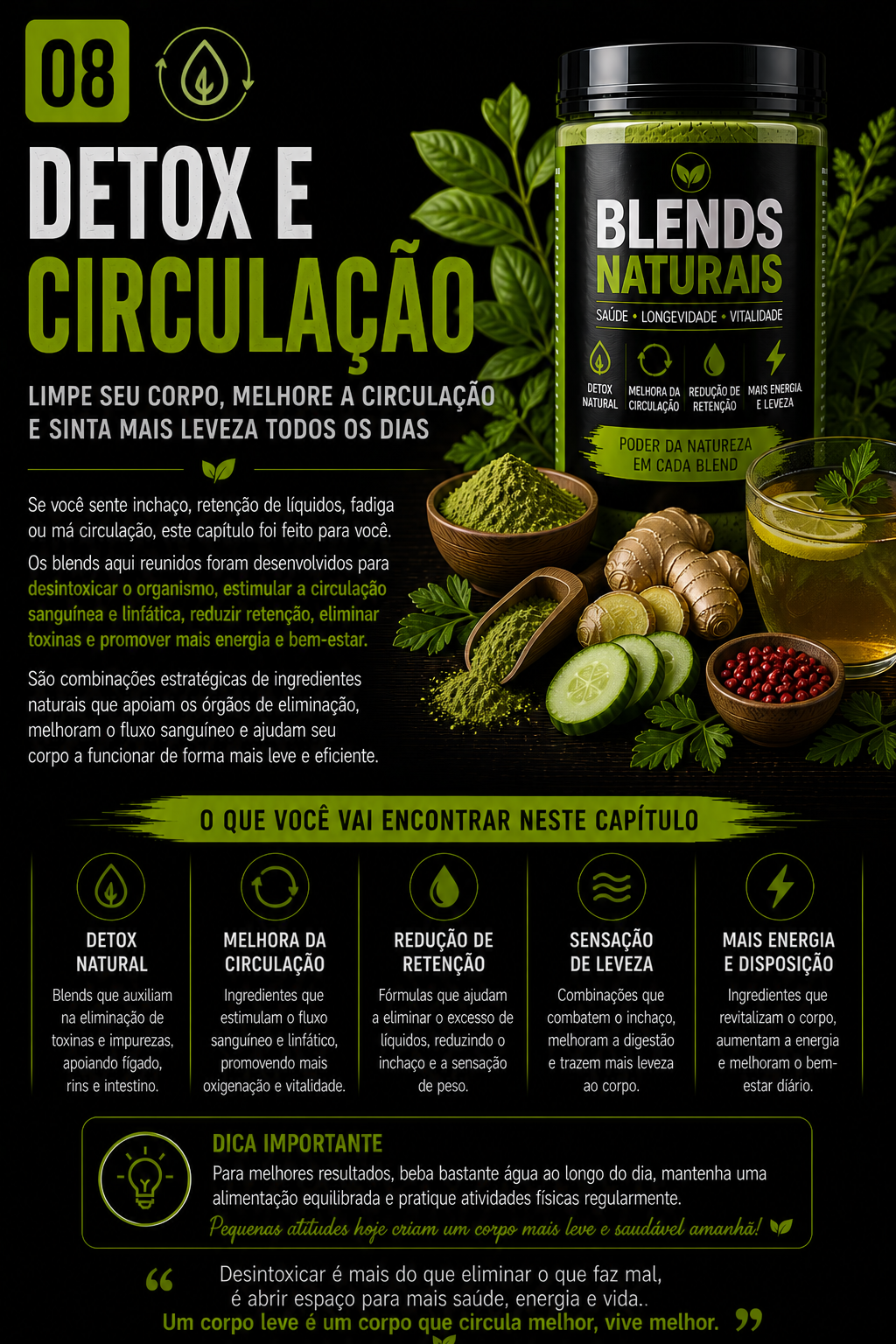 Capítulo Detox e Circulação